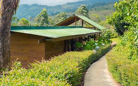 Ecolodge Rain