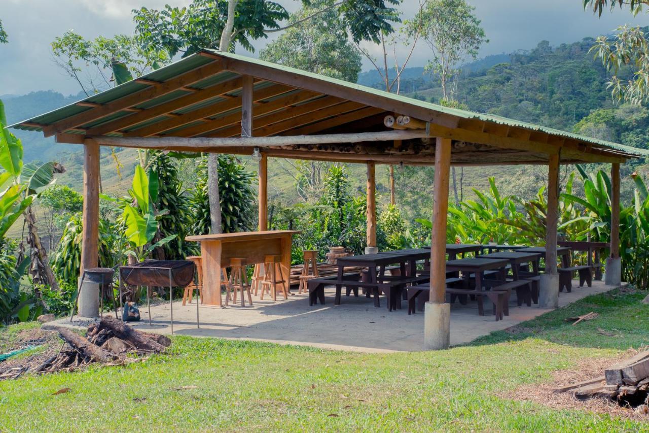 Ecolodge Rain Pedregoso Extérieur photo